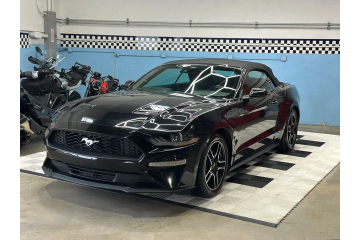 $2000 : Ford Mustang CV ecoboo 2022 image 1