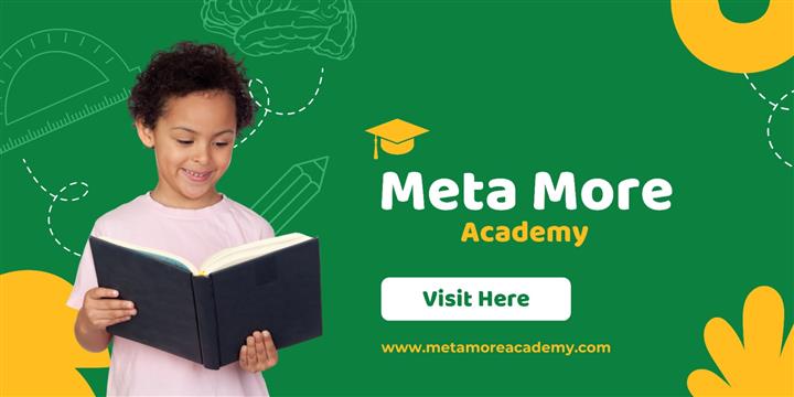 Metamore Academy: Your Pathway image 1