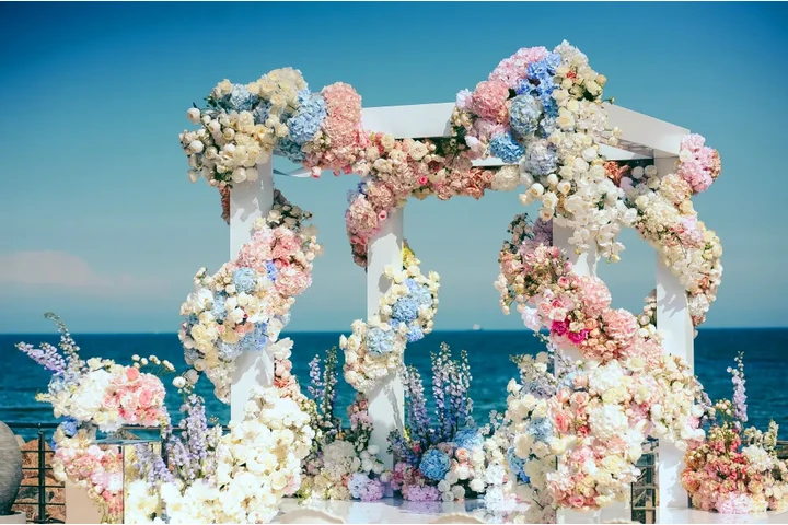 Destination Wedding in India image 1