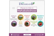 Top Mahabaleshwar Places