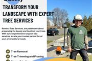 RAMIREZ TREE SERVICES thumbnail