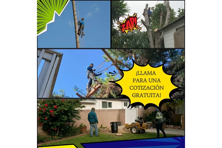 Servicios de Jardinería image 2