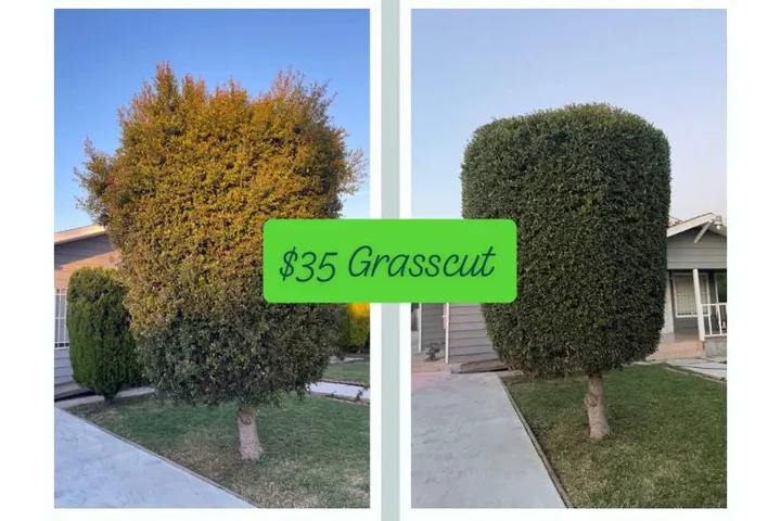 Corte de pasto 🏡$35 image 2