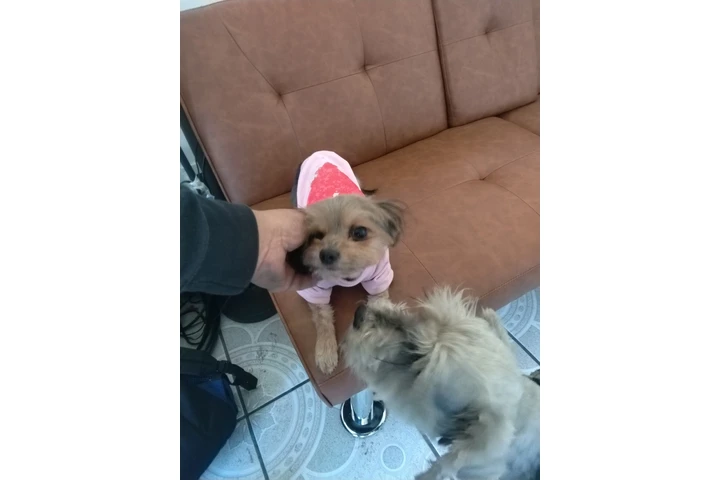 $575 : Se renta cuarto image 4