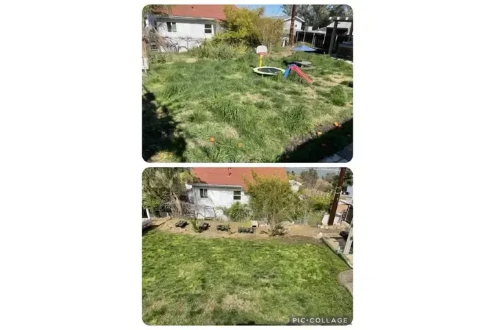 🌱✨ Palacios Landscaping ✨🌱 image 4