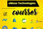 Software Training Institute thumbnail 1