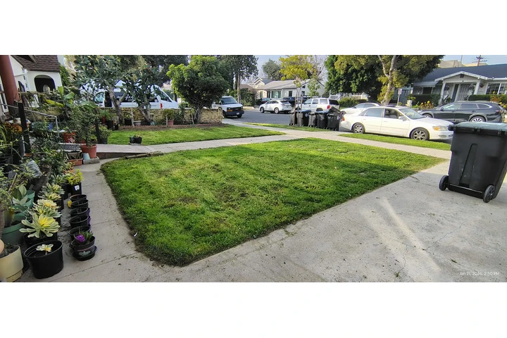 Corte de pasto 🏡$35 image 2