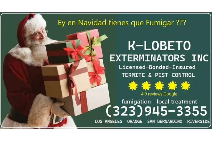 FUMIGACIONES TERMITAS 24/7 L.A image 7