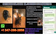 CONJURO MAS FUERTE ENTIERRO