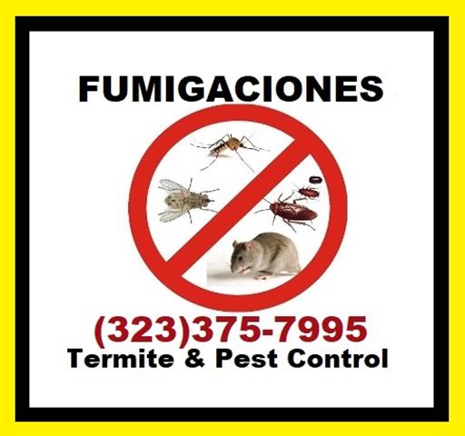 FUMIGACIÓN/CONTROL DE PLAGAS. image 1