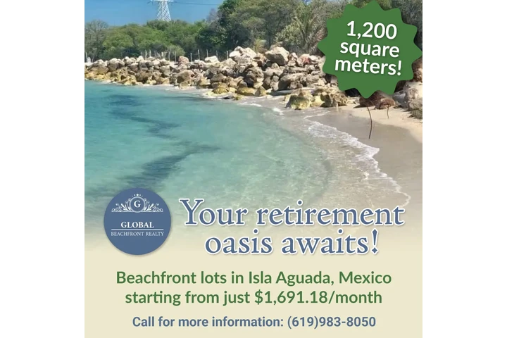 Invest in beachfront lots! image 1
