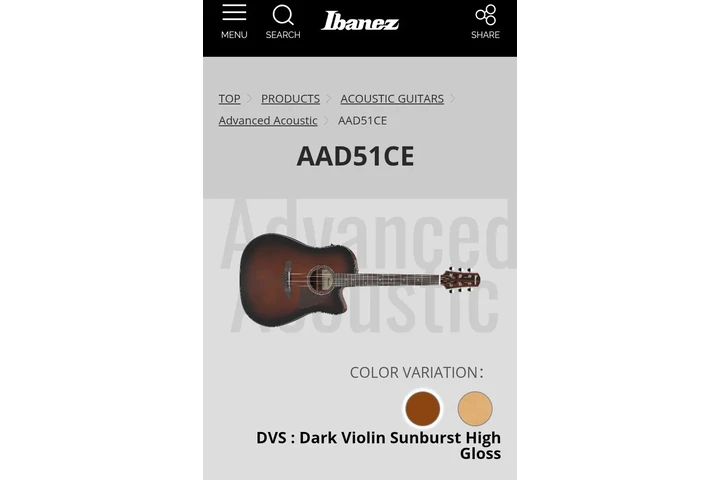 Ibanes guitar y soporte de gui image 2