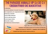 Cremacion para Mascotas en Ixtapaluca