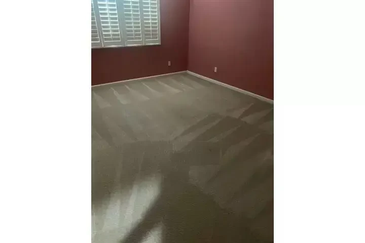 CARPET CLEAN LA MEJOR LIMPIEZA image 3