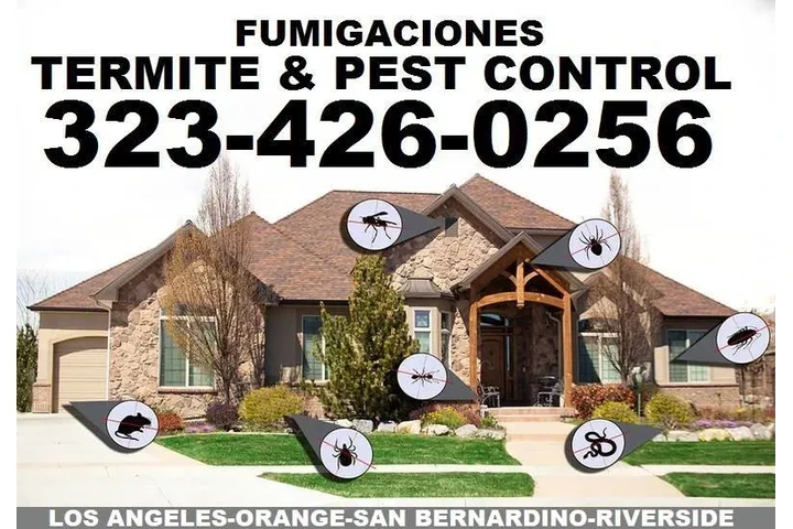 FUMIGACION TERMITAS 24/7 image 2