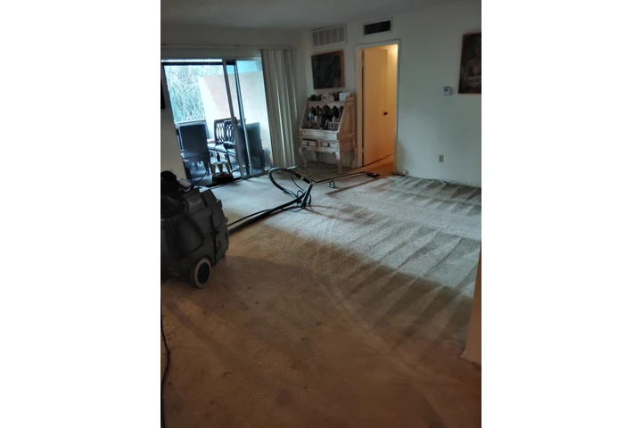 CARPET CLEANING 818-979-5338📞 image 8