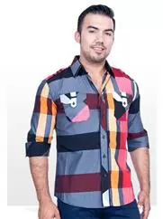 CAMISAS 3 CUARTOS ENVIO GRATIS image 2