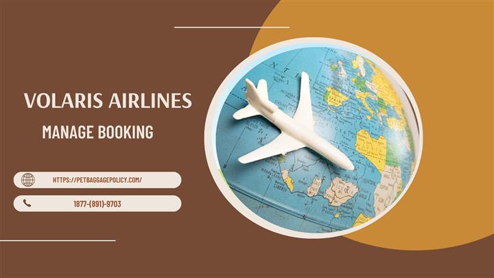 Volaris Airline Manage Booking image 1