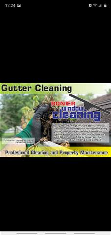 Ronier window cleaning image 2