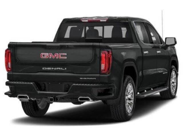 2019 GMC Sierra 1500 image 3