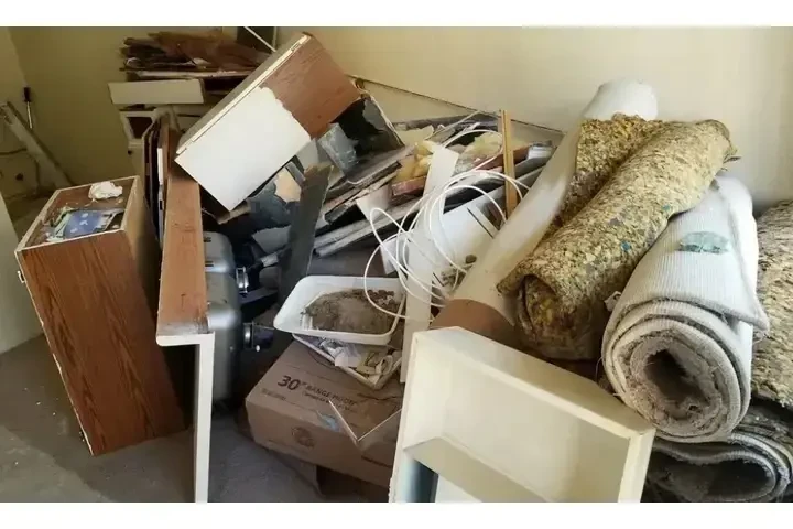 🚚TIRO SU BASURA 👈 image 6