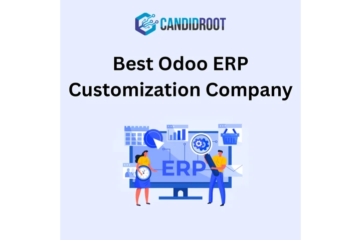 Best Odoo ERP Customization image 1