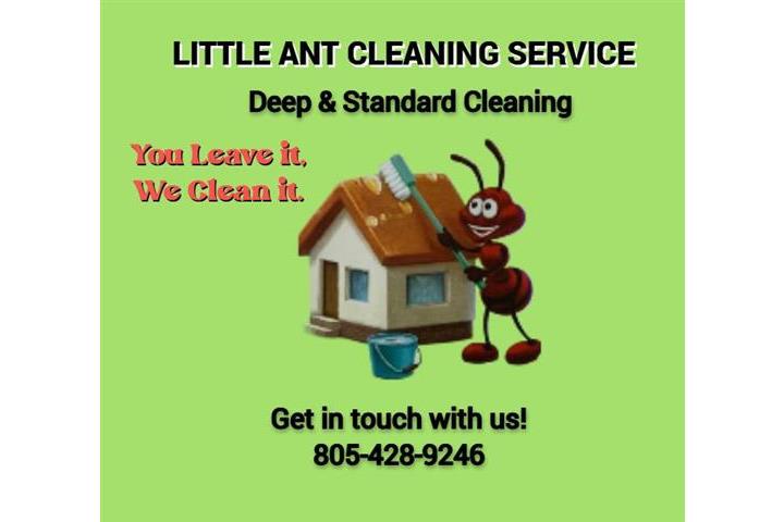 LITTLE ANT CLEANING SERVICES image 1