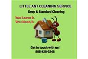 LITTLE ANT CLEANING SERVICES thumbnail