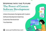 Custom Software Development en Hialeah