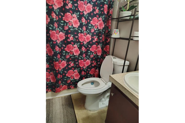$45000 : Venta de Mobile Home image 5