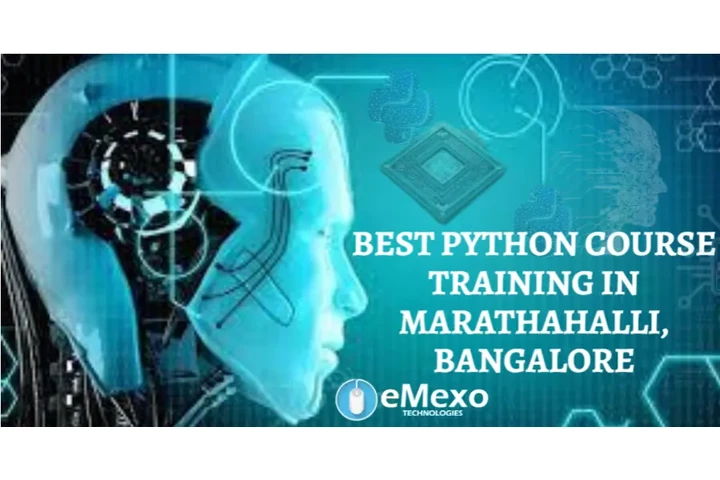 Python Training in Bangalore image 2