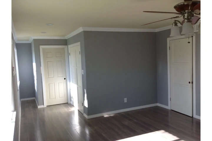 Pintamos casa 🏠 todo cal. image 7