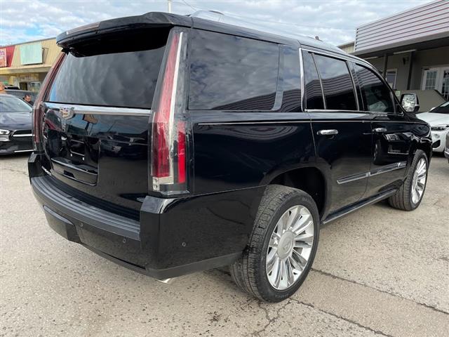 2017 Escalade 4WD 4dr Platinum image 5