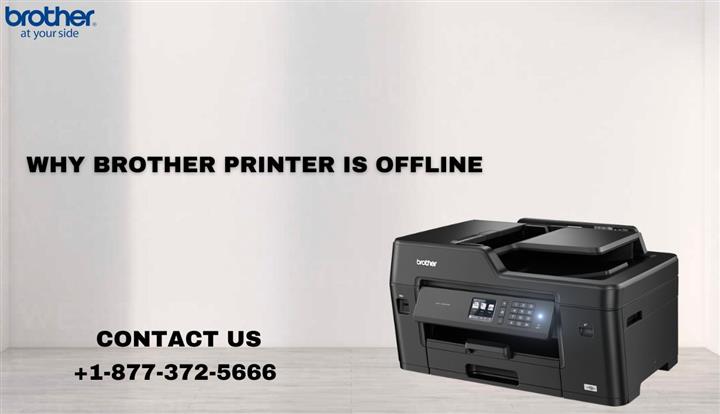 Why Brother Printer Is Offline image 1