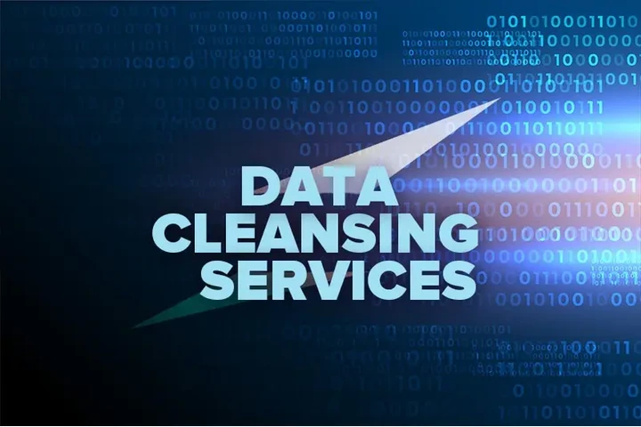 Data Cleansing Services image 1