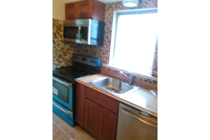 Leonel Handyman renovation image 2