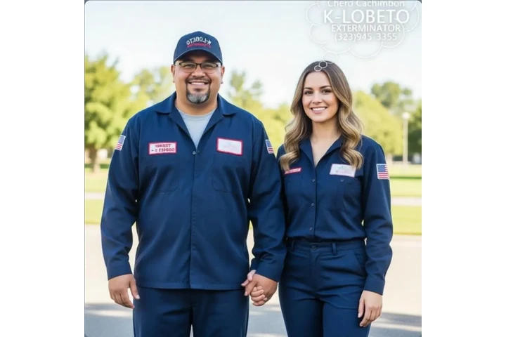 FUMIGACION TERMITAS MAYWOOD.- image 4