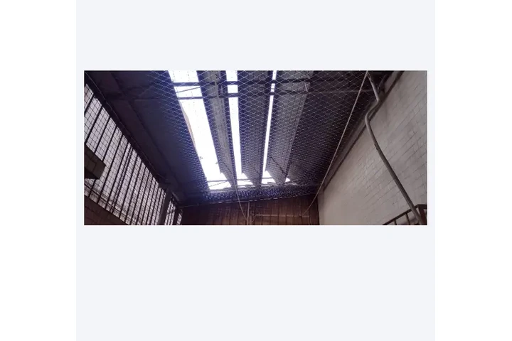 Redes de Protección Cuidemos image 7