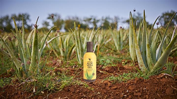 Aloe Vera productos en linea image 6