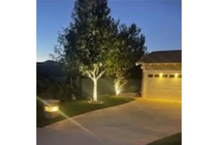 BSA Gardening Services image 3