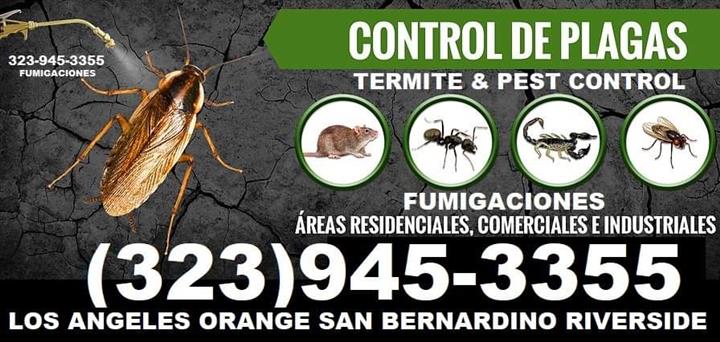 PEST CONTROL SERVICES NEAR ME. image 5