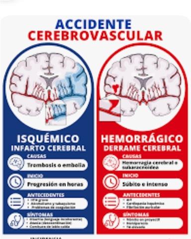 Terapia física y rehabilitació image 1