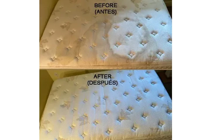 🌿💨 Limpieza Antiácaros image 4