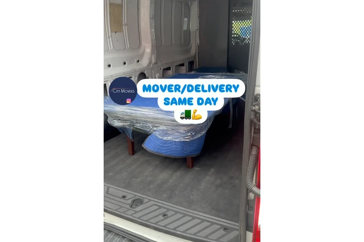 Delivery/Mover image 1