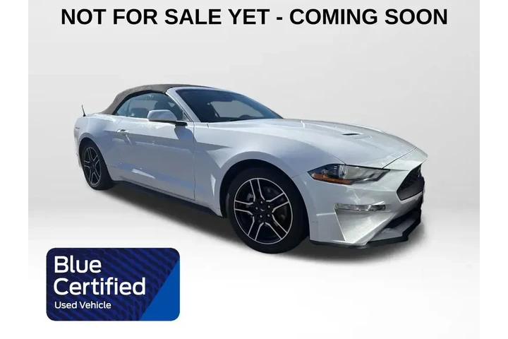 $23000 : Ford Mustang 2022 EcoBoost P image 1