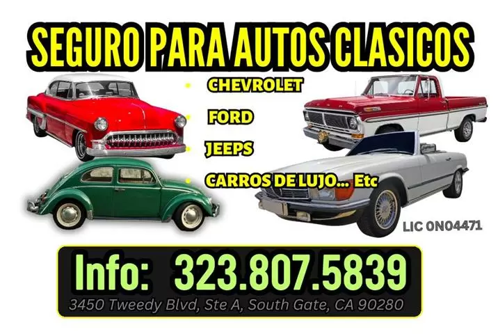 AUTO 🔵 VIDA 🔵 MEDICARE🔵CASA image 6