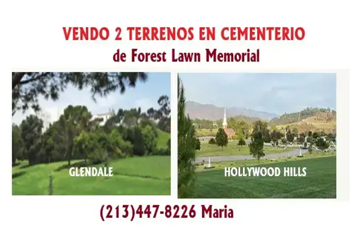 VENDO 2 TERRENOS EN CEMENTERIO image 1