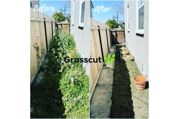 Corte de pasto 🏡$35 image 5