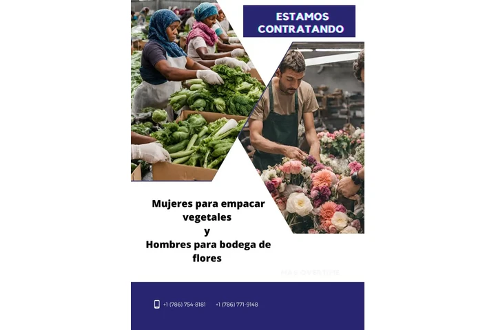 Tengo trabajo fijo y estable. image 2