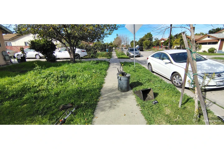 Corte de pasto 🌿👷🏼 image 5